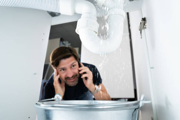 Best Affordable Plumbing Services  in Venice, IL