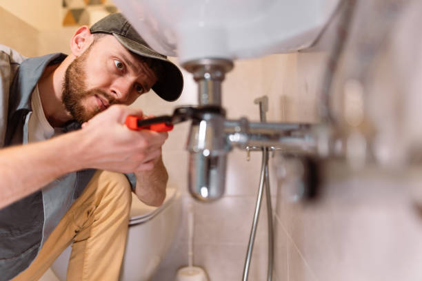 Best Leak Detection Services  in Venice, IL